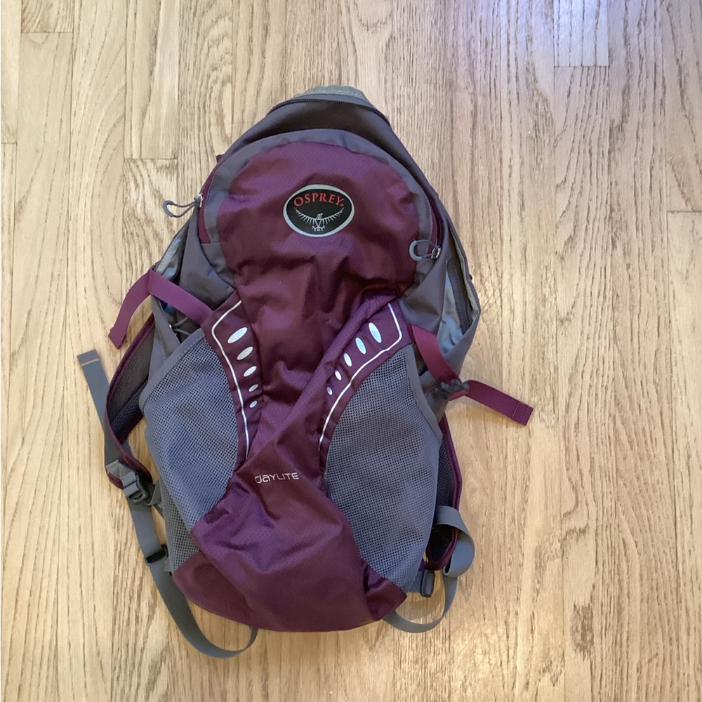 Osprey Purple and Gray Day Lite Backpack